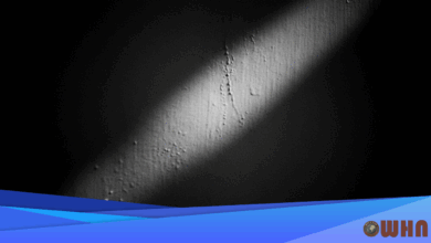 A Book Reflects on the Ritual of Playing Dead