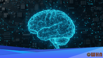 Early Psychosis Study Links Brain Connectivity to Cognition