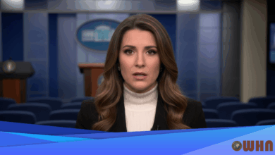 Noem Warns Guard Shooter Radicalized In US