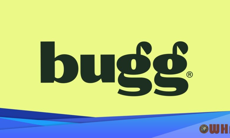 Seachange's Bugg Exposes A Deeper Industry Flaw