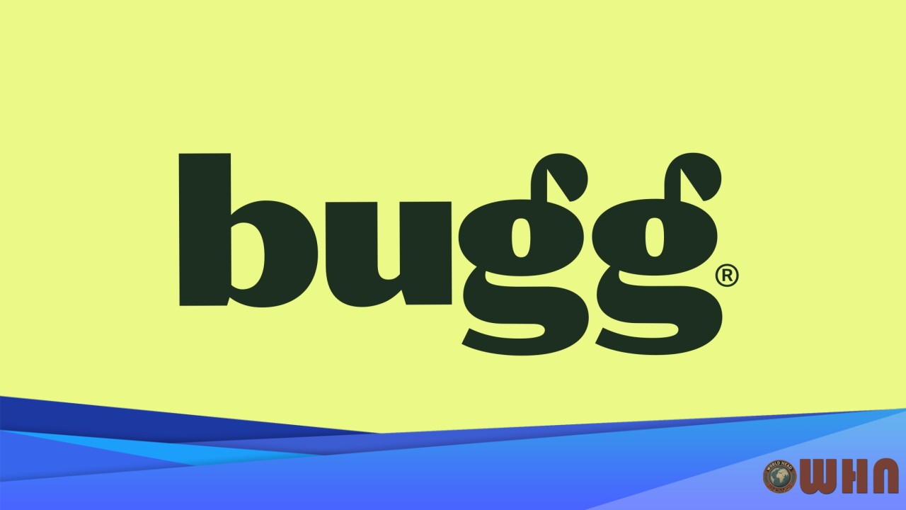 Seachange's Bugg Exposes A Deeper Industry Flaw