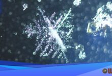 Snow Threatens Baltimore Post-Thanksgiving