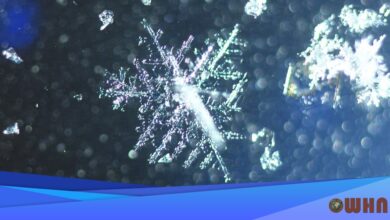 Snow Threatens Baltimore Post-Thanksgiving