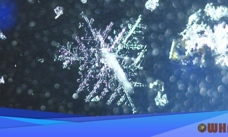 Snow Threatens Baltimore Post-Thanksgiving