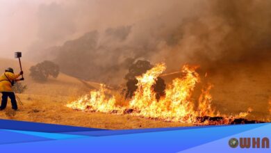 Wildfire Danger Threatens The West