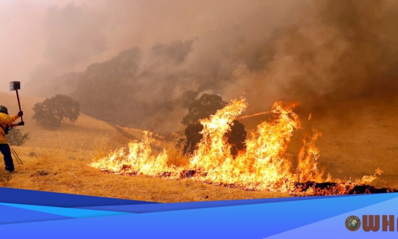 Wildfire Danger Threatens The West